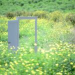 自分の歩む道