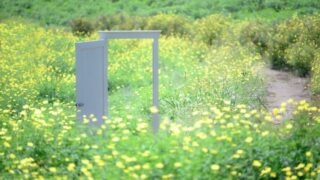 自分の歩む道