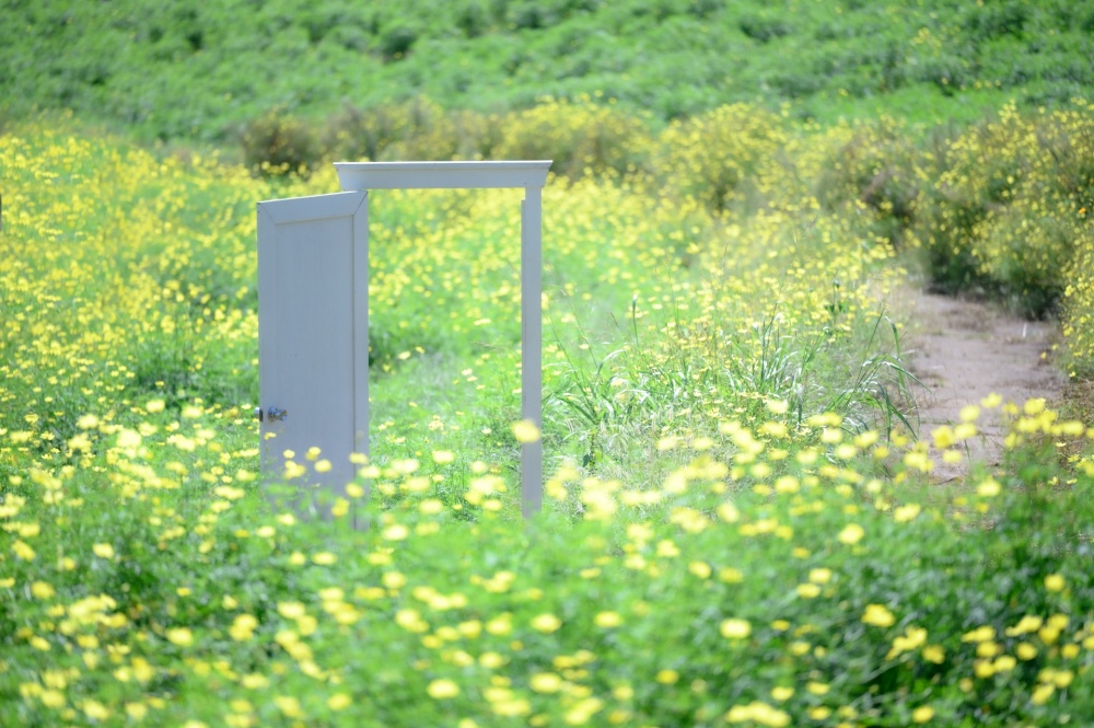 自分の歩む道